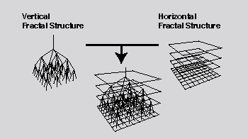 Fractalism in a tissue