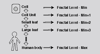 fractal level