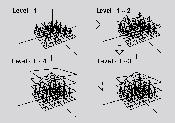 Fractal Level in A Tissue