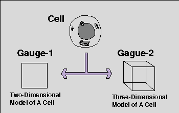 Cell and Gauge