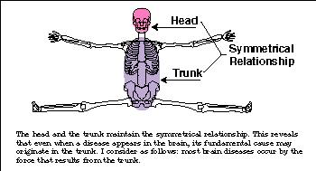 Head and Trunk