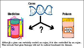 Contradiction in Gene Research