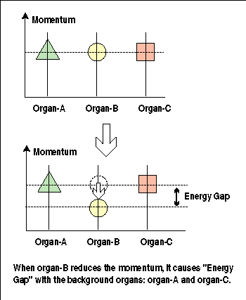 How does an organ cause Energy Gap?
